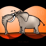 elephant