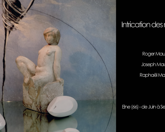 « Intrication des mémoires » – Vernissage le 3 Juin à 18h – Cloître d’Elne (66)