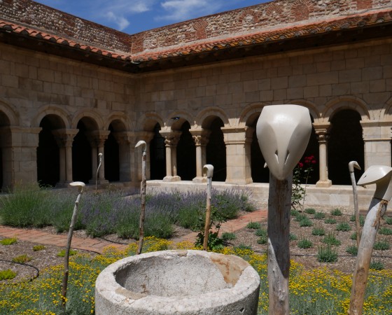 Installation Cloître d’Elne – été 2016